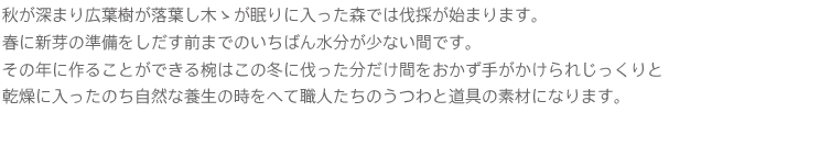 秋が深まり広葉樹が落葉し木ゝが眠りに入った森では伐採が始まります。春に新芽の準備をしだす前までのいちばん水分が少ない間です。その年に作ることができる椀はこの冬に伐った分だけ間をおかず手がかけられじっくりと乾燥に入ったのち自然な養生の時をへて職人たちのうつわと道具の素材になります。